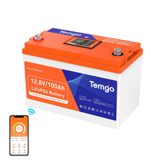 Temgo LiFePO4 12V 100Ah with Touchable Display Battery