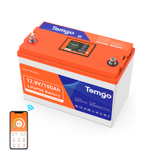 Temgo 12V 100Ah Self-Heating Lithium Battery