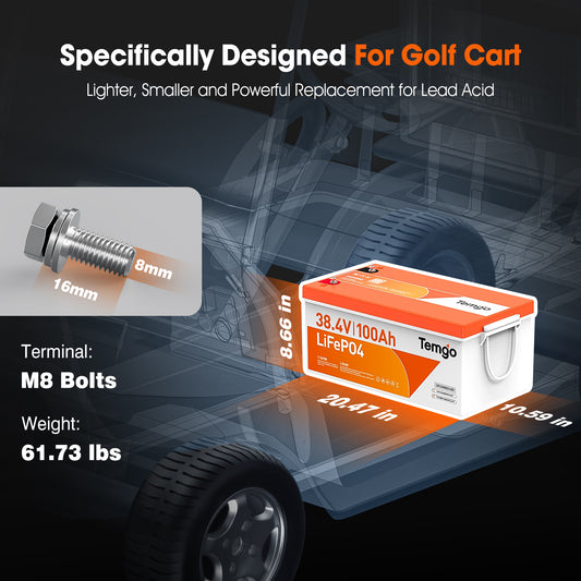 Temgo 36V 100Ah Lithium Golf Cart Battery & ABS Shell