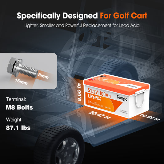 Temgo 48V 100Ah Lithium Golf Cart Battery & ABS Shell