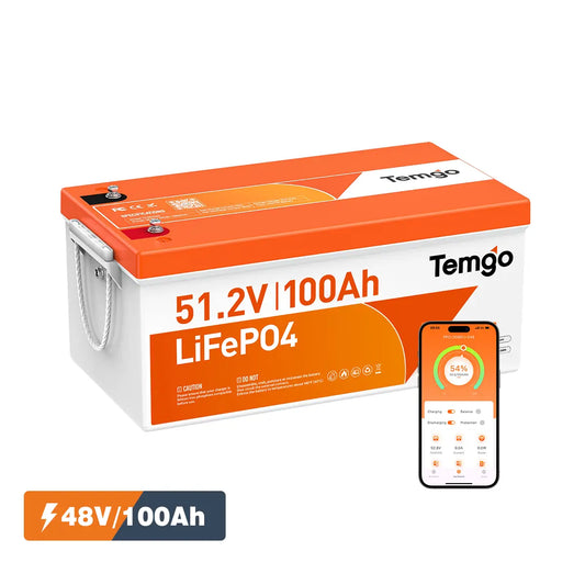 Temgo 48V 100Ah Lithium Golf Cart Battery