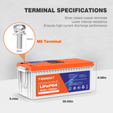 Temgo 12V 200Ah Self-Heating Lithium Battery