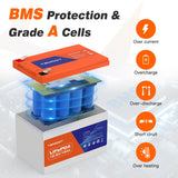 Temgo 12.8V 12Ah Rechargeable LiFePO4 Battery