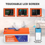 Temgo 12V 200Ah Self-Heating Lithium Battery