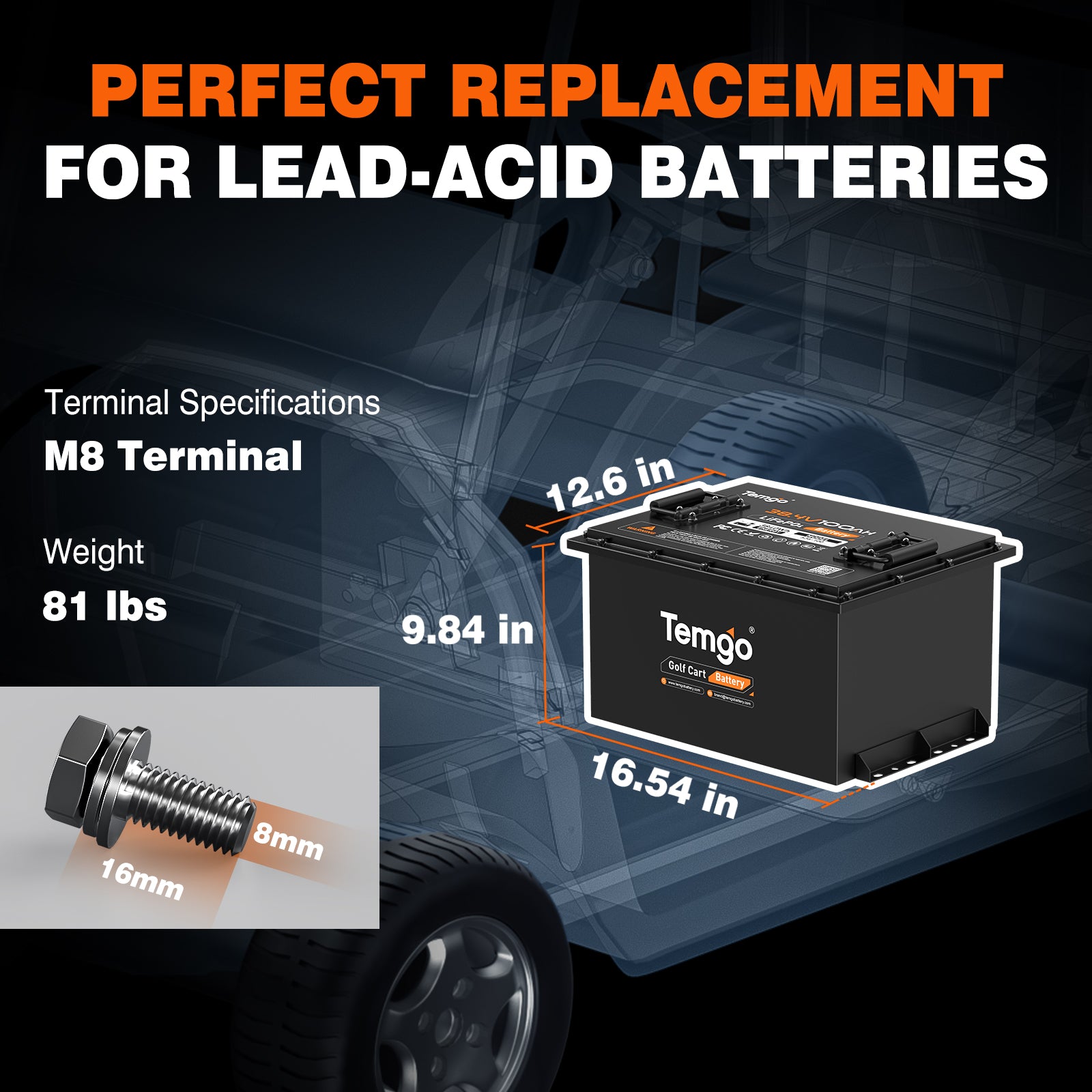 replacement for lead-acid batteries：Temgo 36V 100Ah golf cart batter