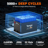 Temgo 36V 100Ah Lithium Golf Cart Battery & SPCC 5000+ deep cycles