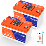 Temgo 12V 100Ah Lithium Battery With LCD Screen and app dual monitoring