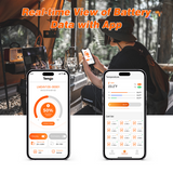 Temgo 12V 100Ah Self-Heating Real-time View of Battery
Data with App