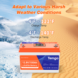 Temgo 12V 100Ah Self-Heating Adapt to Various HarshWeather conditions