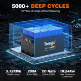 Temgo 48V 100Ah Lithium Golf Cart Battery  & SPCC