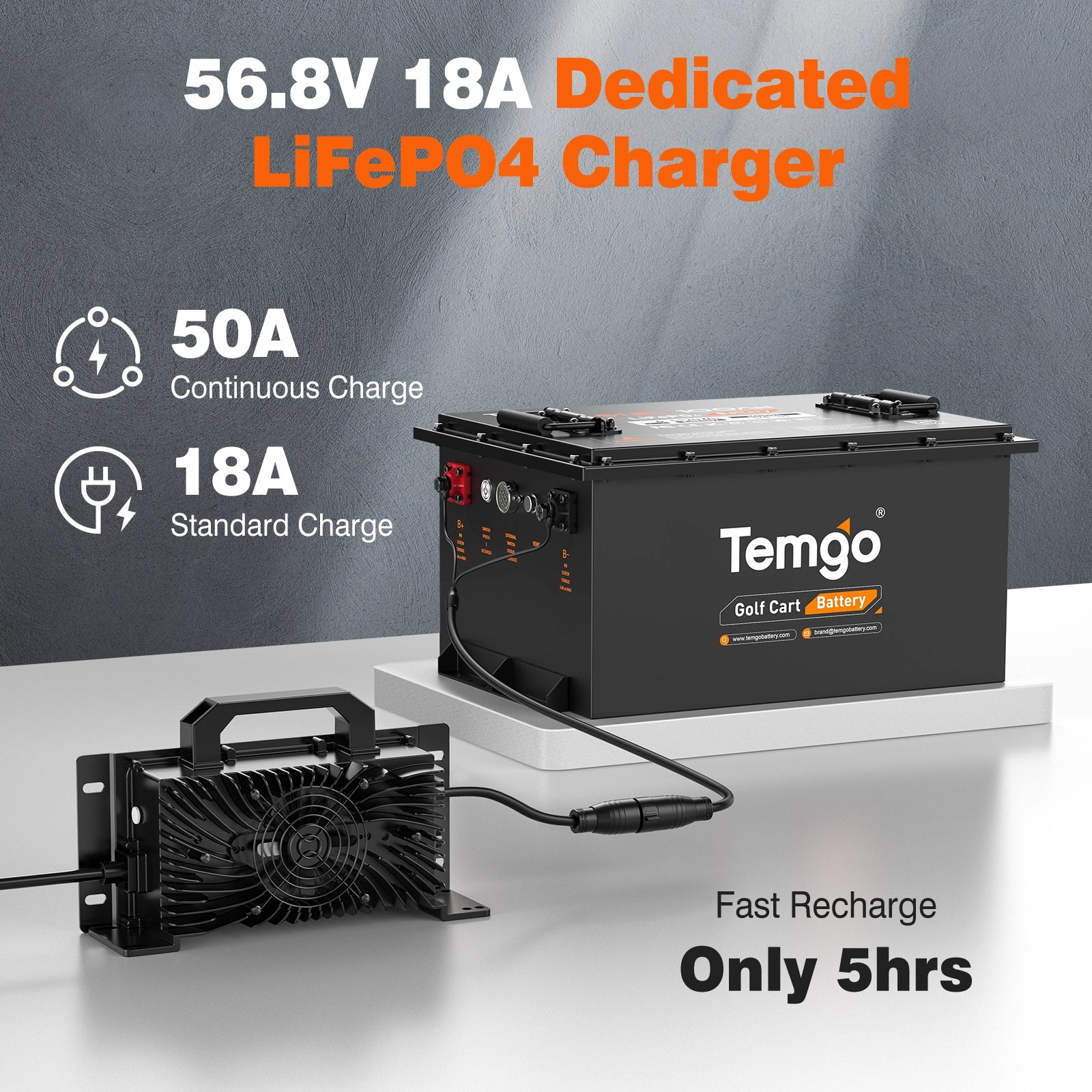 Temgo 48V 100Ah Lithium Golf Cart Battery  & SPCC
