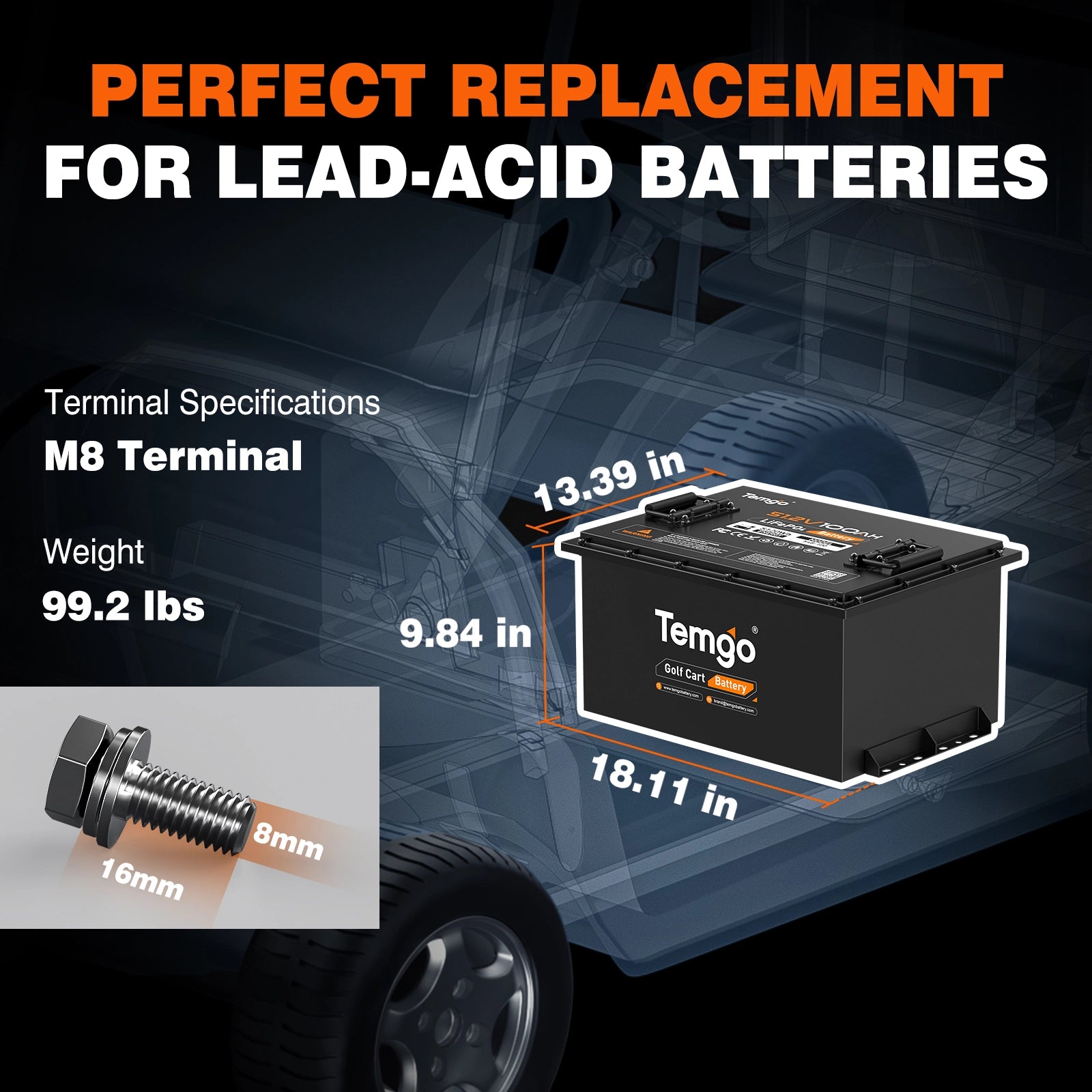 Temgo 48V 100Ah Lithium Golf Cart Battery  & SPCC