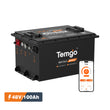Temgo 48V 100Ah Lithium Golf Cart Battery  & SPCC
