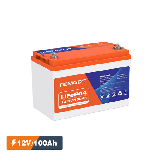 Temgo LiFePO4 12V 100Ah Battery