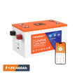 Temgo LiFePO4 12V 460Ah Self-Heating Battery