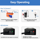 Temgo 14.6V 20A Smart Battery Charger, LiFePO4 Battery Charger for 12V Lithium Battery, Perfect for LiFePO4 Battery Recharging, Support Fast Charging