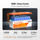 Temgo 48V (51.2V) 150Ah Lithium Golf Cart Battery